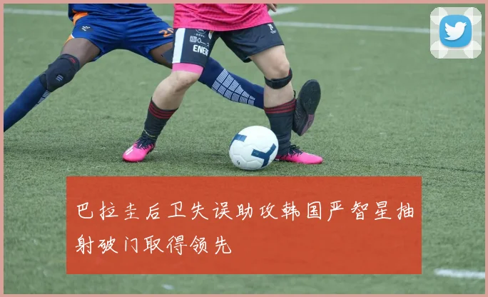 巴拉圭后卫失误助攻韩国严智星抽射破门取得领先